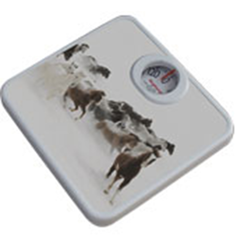 ترازو وزن کشی عقربه ای شقایق