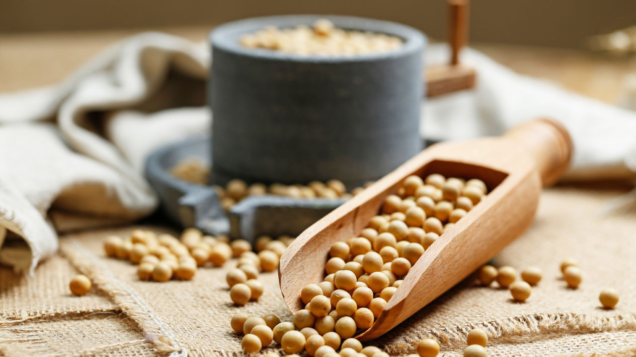 سویا