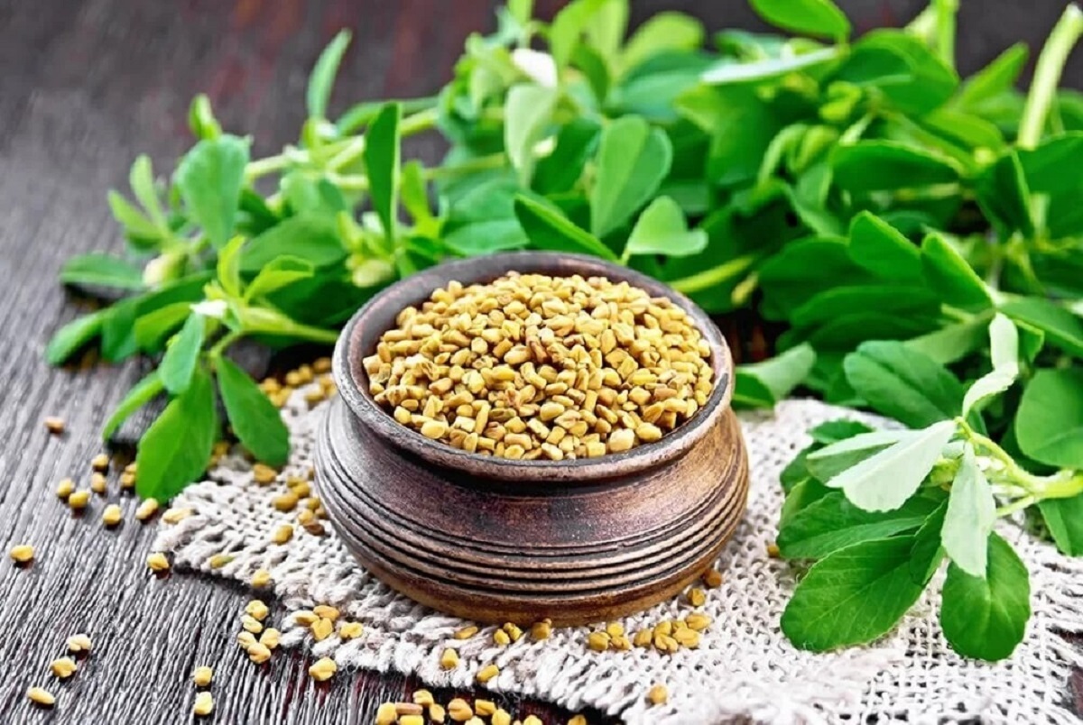 روغن شنبلیله و خواص آن