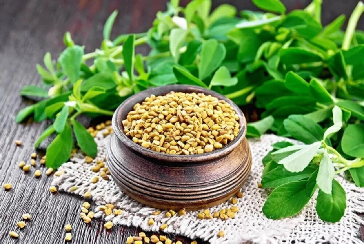 روغن شنبلیله و خواص آن