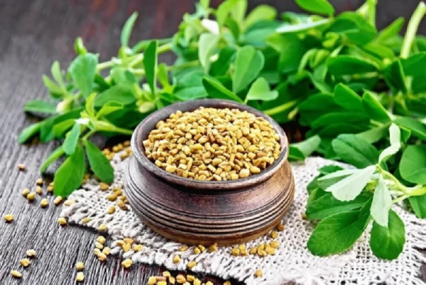 روغن شنبلیله و خواص آن