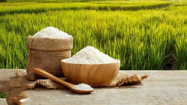 اگر برنج نخوریم موهایمان می ریزد؟