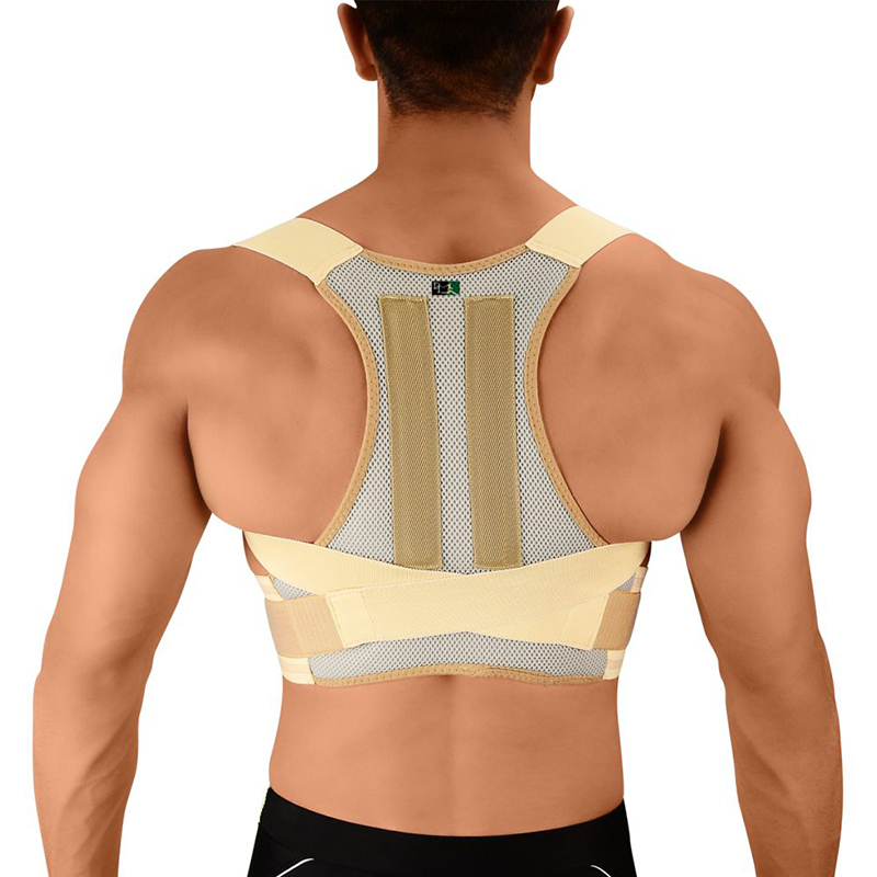 قوز بند پل دار