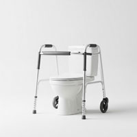 توالت فرنگی