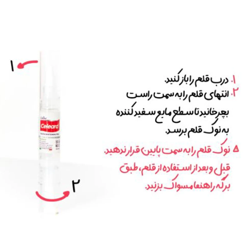 Capture222 copy.jpg