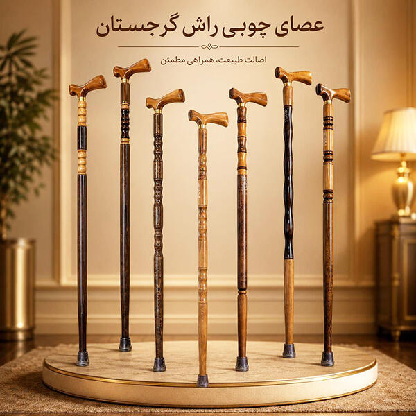 georgian-beech-wood-walking-cane.jpg