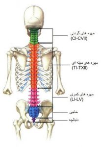 ارتز