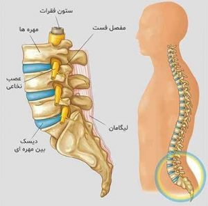 ارتز