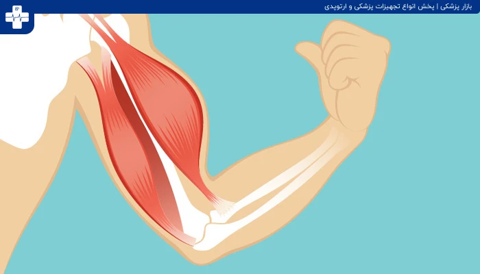روش سالم چاق شدن چگونه است