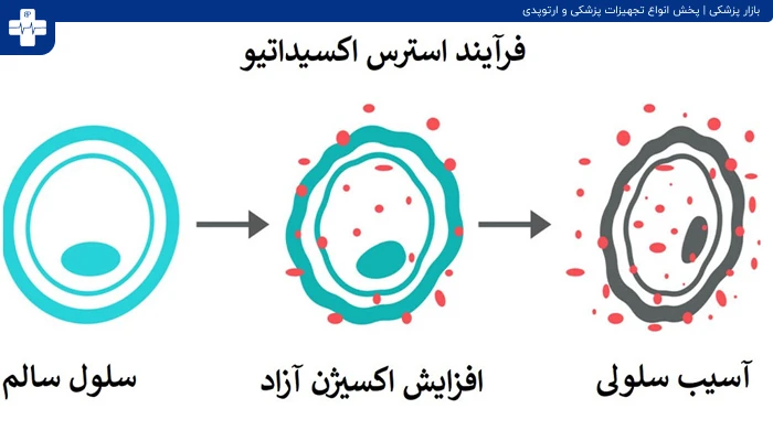 استرس اکسیداتیو