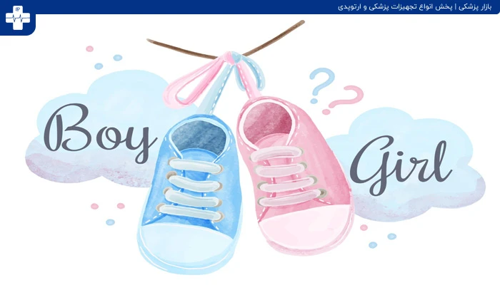 تعیین جنسیت فرزند با تغذیه