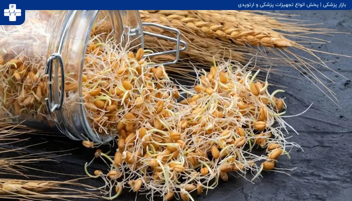 خواص جوانه گندم